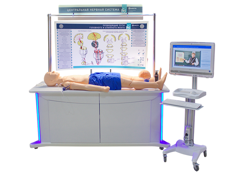 Лабораторно-диагностический учебный комплекс "Центральная нервная система" — купить в МЕДСЕТ