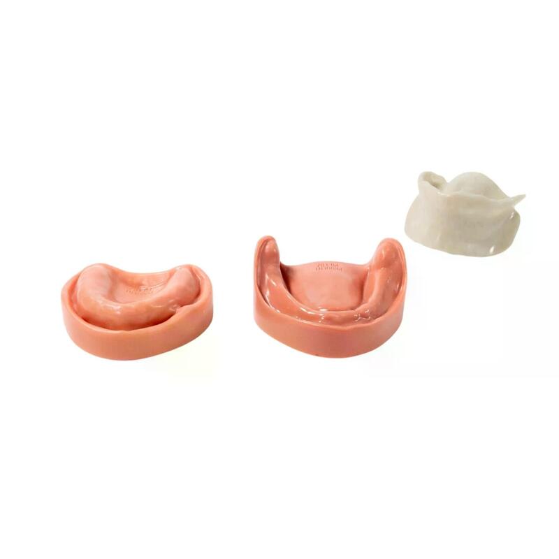 Стоматологическая модель верхней и нижней беззубой челюсти с десной — купить в МЕДСЕТ