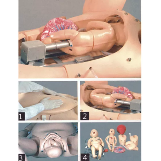 Симулятор родов F55 — купить в МЕДСЕТ
