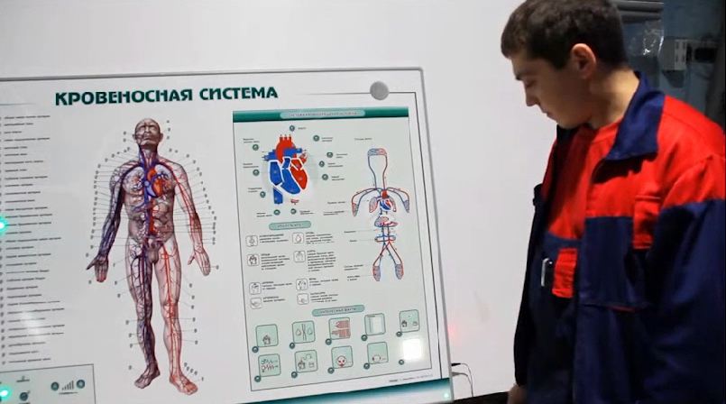 Интерактивный светодинамический стенд "Кровеносная система" — купить в МЕДСЕТ