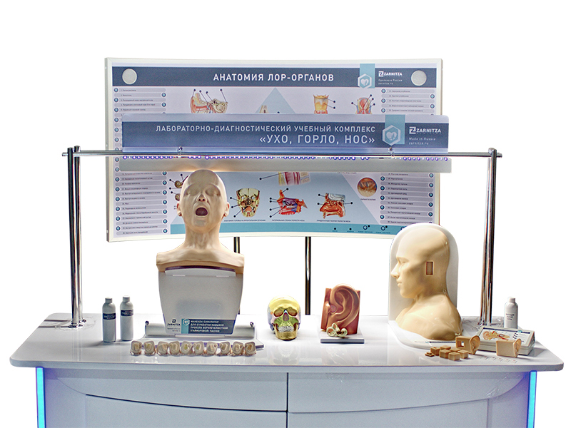 Лабораторно-диагностический учебный комплекс "Ухо, горло, нос" — купить в МЕДСЕТ