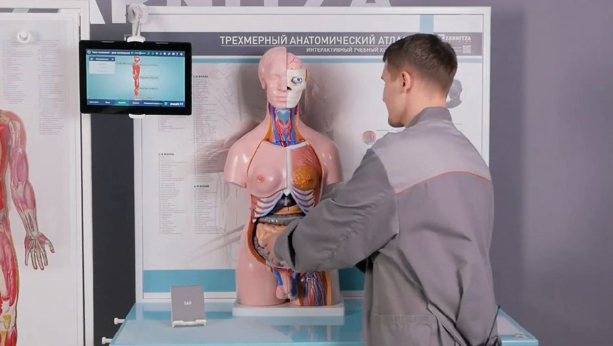 Трехмерный анатомический атлас. Приказ 838 Минпросвещения РФ — купить в МЕДСЕТ
