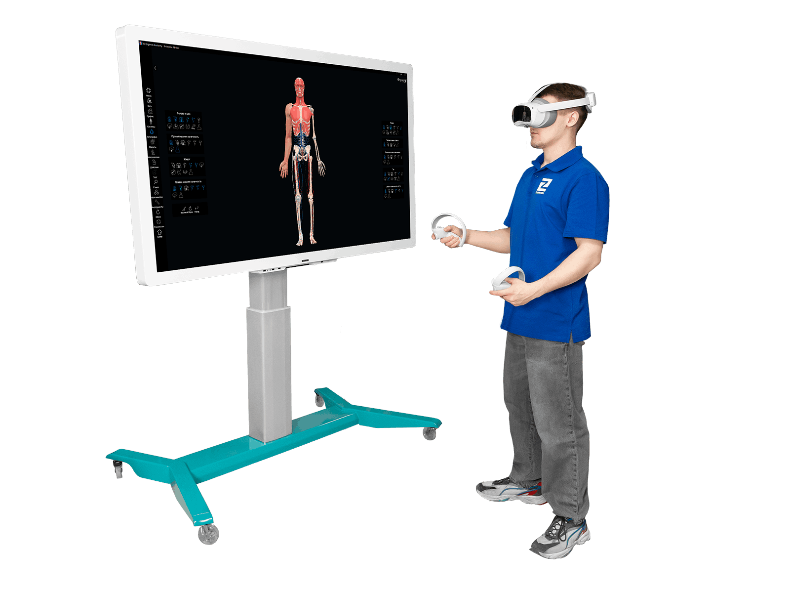 Трехмерный анатомический атлас VR. Виртуальный учебный комплекс. Приказ 838 Минпросвещения РФ — купить в МЕДСЕТ