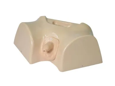 Фантом мужской промежности для катетеризации — купить в МЕДСЕТ