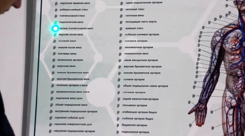 Интерактивный светодинамический стенд "Кровеносная система" — купить в МЕДСЕТ