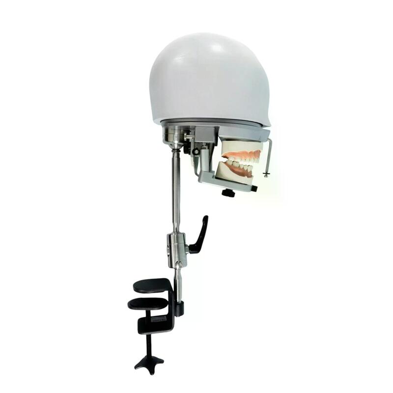 Учебный стоматологический фантом с креплением к столу для ортопедической и стоматологической практики — купить в МЕДСЕТ