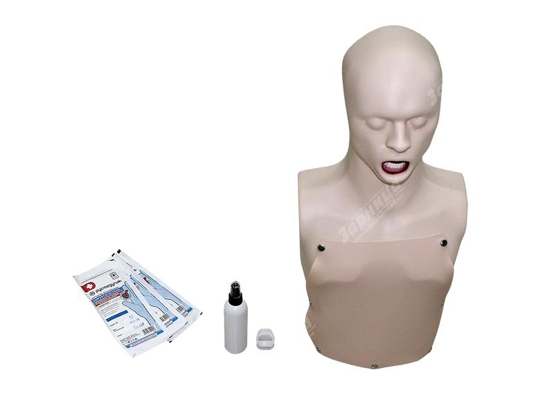 Тренажер гастроскопии и катетеризации желчного протока — купить в МЕДСЕТ