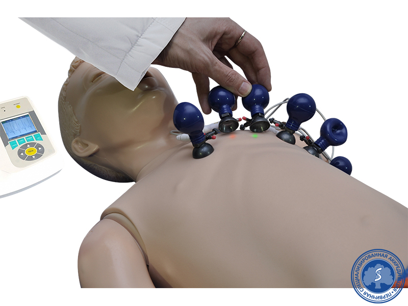 Многофункциональный манекен для регистрации параметров ЭКГ (подросток) — купить в МЕДСЕТ