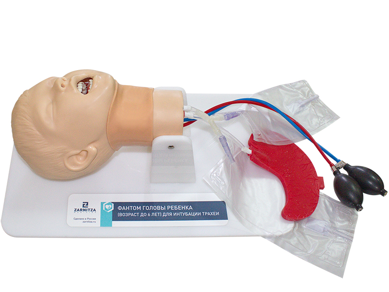 Фантом головы ребенка (возраст до 6 лет) для интубации трахеи — купить в МЕДСЕТ