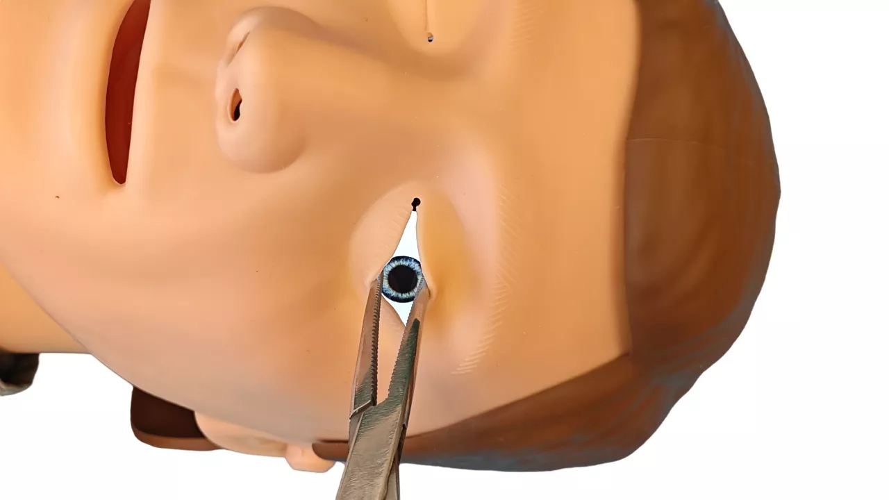 Манекен (торс) для отработки навыков СЛР с компьютерной регистрацией, Терентий 4000, ROST-CPR189N — купить в МЕДСЕТ