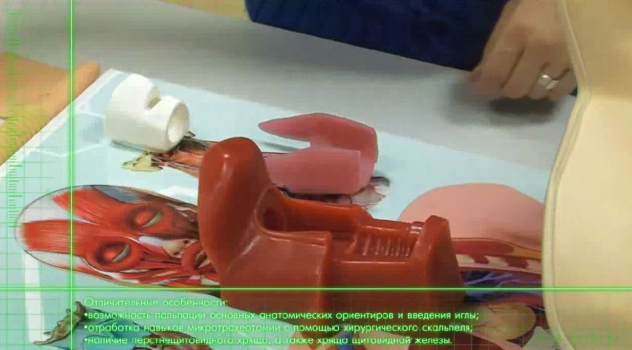 Тренажер трахеотомии — купить в МЕДСЕТ