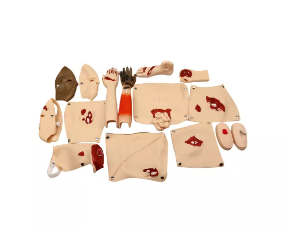 Модели различных травм G110-16 — купить в МЕДСЕТ