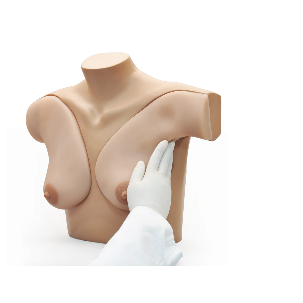 Sim. Breast Self Examination — купить в МЕДСЕТ