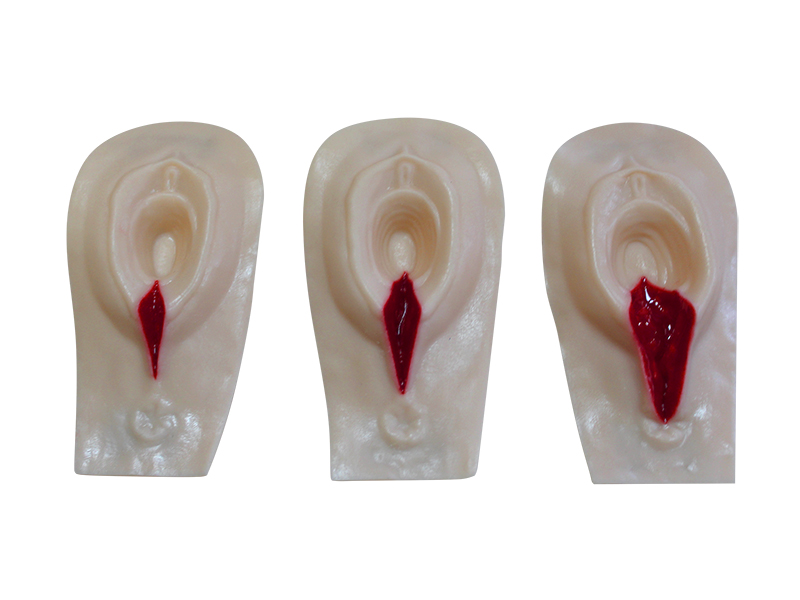 Тренажер для наложения швов на рассечения промежности — купить в МЕДСЕТ