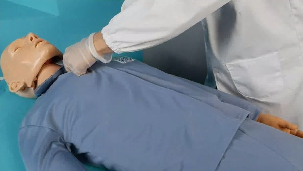 Тренажер-манекен пострадавшего для отработки приемов сердечно-легочной реанимации со светозвуковой индикацией и контроллером «Александр-6» — купить в МЕДСЕТ