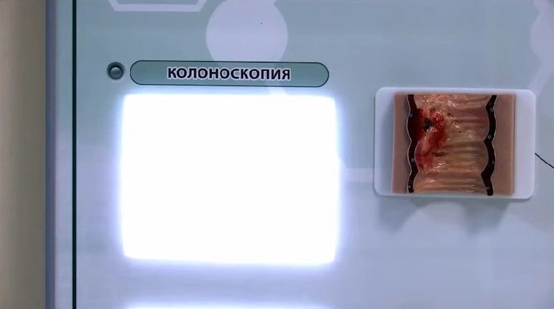 Интерактивный тренажерный комплекс для эндоскопии — купить в МЕДСЕТ