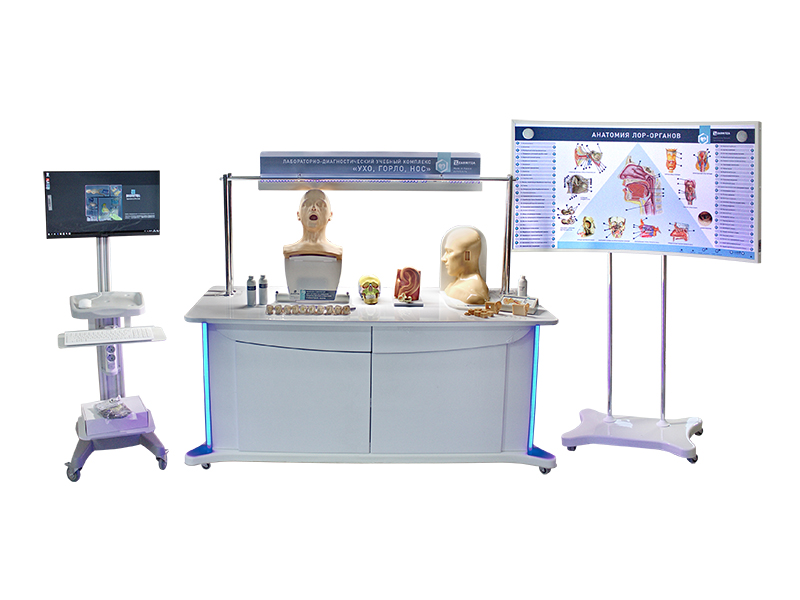 Лабораторно-диагностический учебный комплекс "Ухо, горло, нос" — купить в МЕДСЕТ
