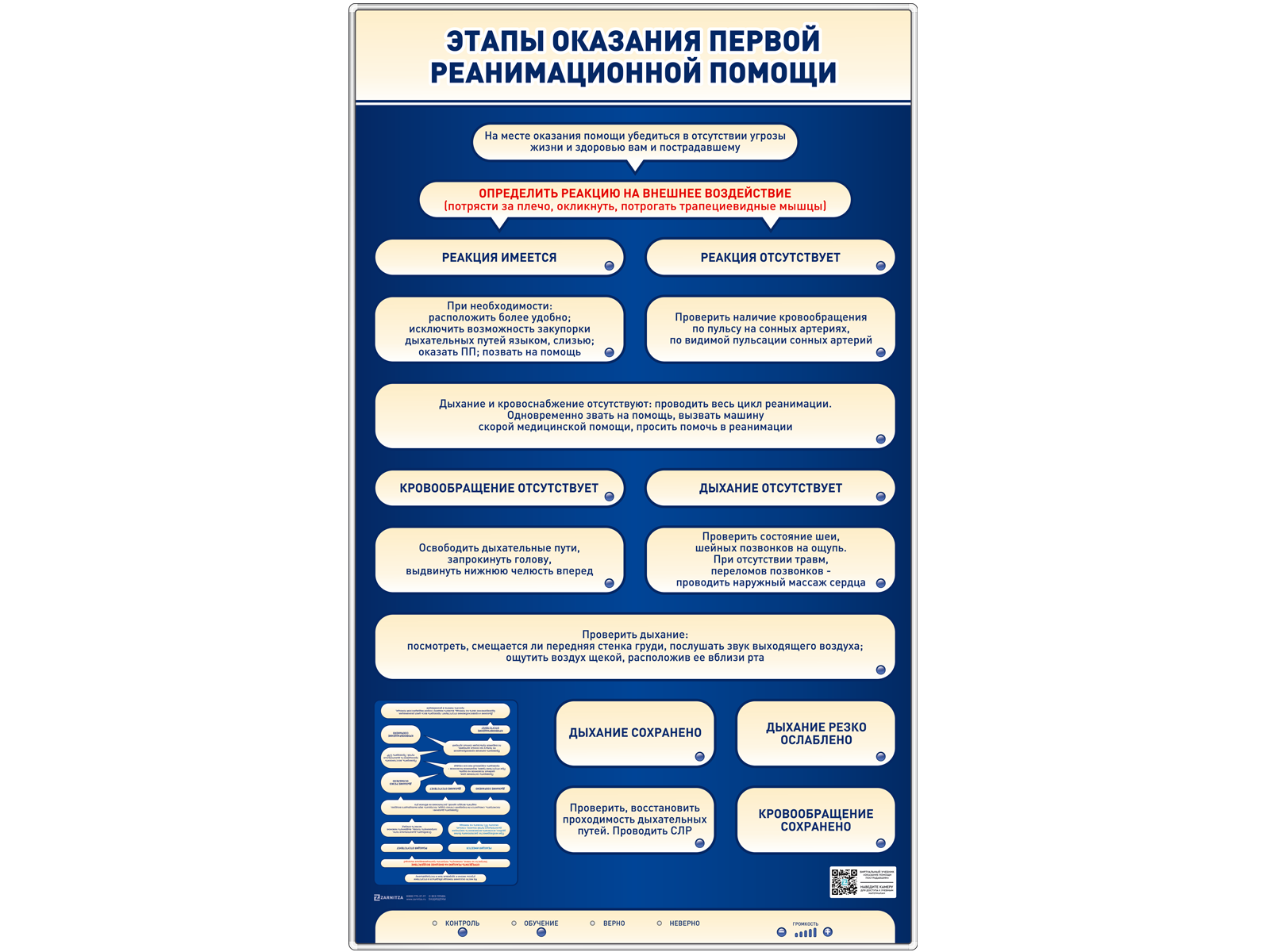 Электрифицированный стенд-тренажер "Этапы оказания первой реанимационной помощи" — купить в МЕДСЕТ