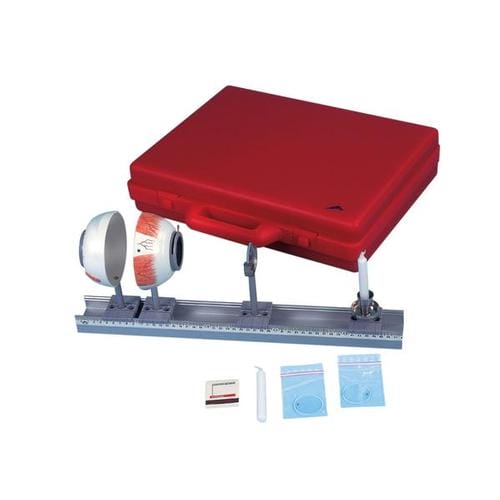 Физическая модель глаза — купить в МЕДСЕТ