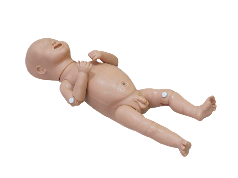 Тренажер по отработке навыков родовспоможения — купить в МЕДСЕТ