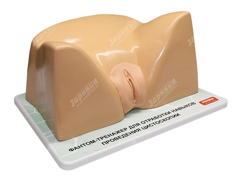 Тренажер для отработки навыков цистоскопии — купить в МЕДСЕТ