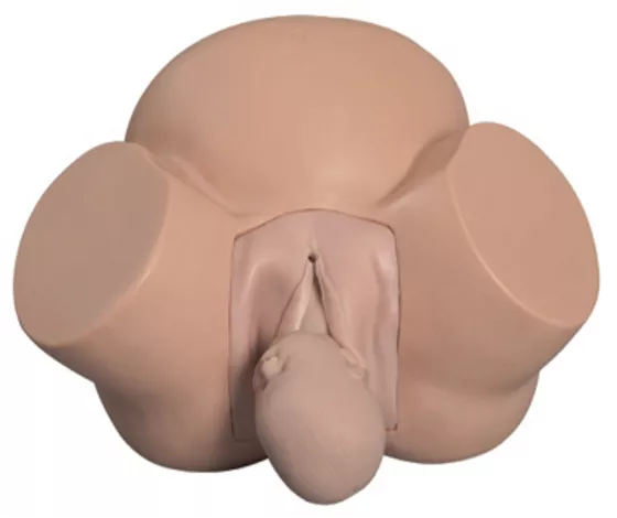 Модель акушерской практики 8 — купить в МЕДСЕТ