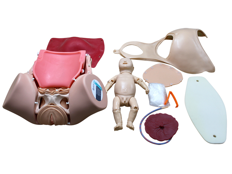 Тренажер кесарева сечения — купить в МЕДСЕТ