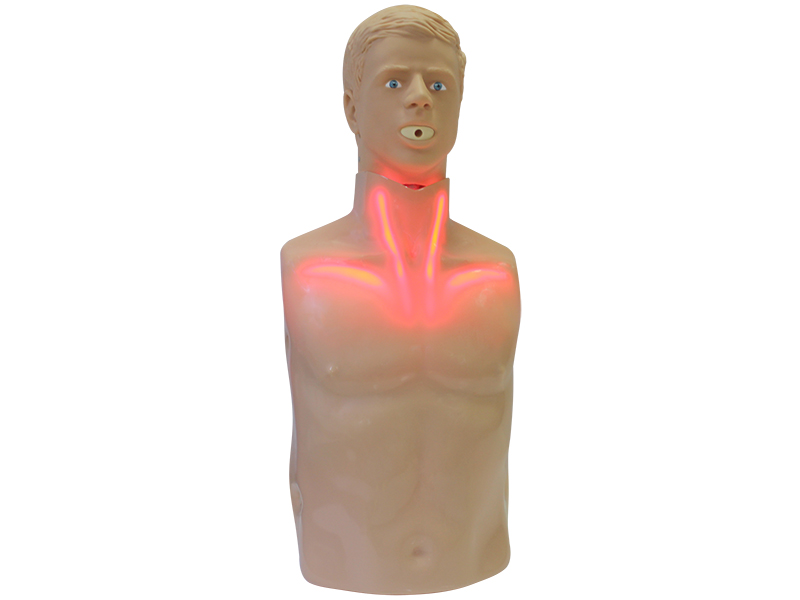 Тренажер-манекен (торс) пострадавшего для отработки приемов сердечно-легочной реанимации со светозвуковой индикацией «Александр-3» — купить в МЕДСЕТ