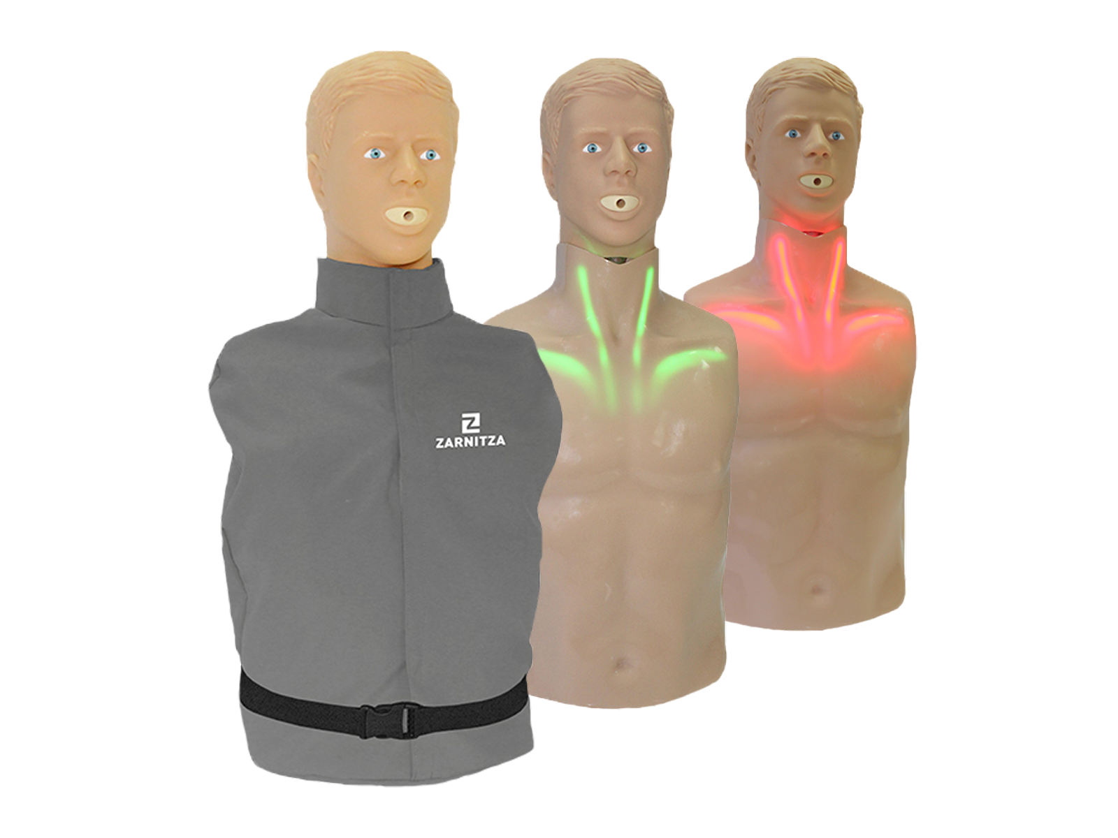 Тренажер-манекен (торс) пострадавшего для отработки приемов сердечно-легочной реанимации со светозвуковой индикацией «Александр-3» — купить в МЕДСЕТ