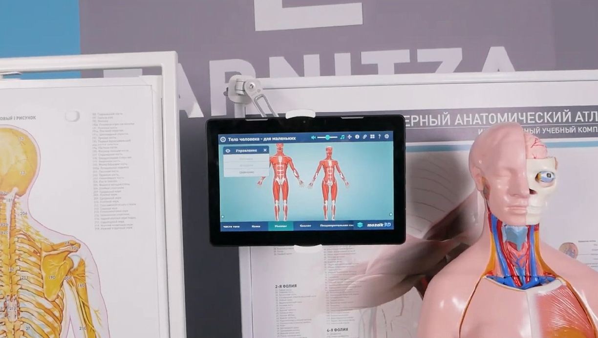 Трехмерный анатомический атлас. Приказ 838 Минпросвещения РФ — купить в МЕДСЕТ