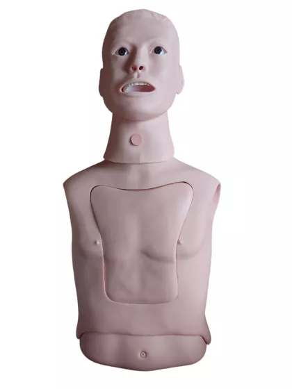 Фантом торса для промывания желудка A6 — купить в МЕДСЕТ