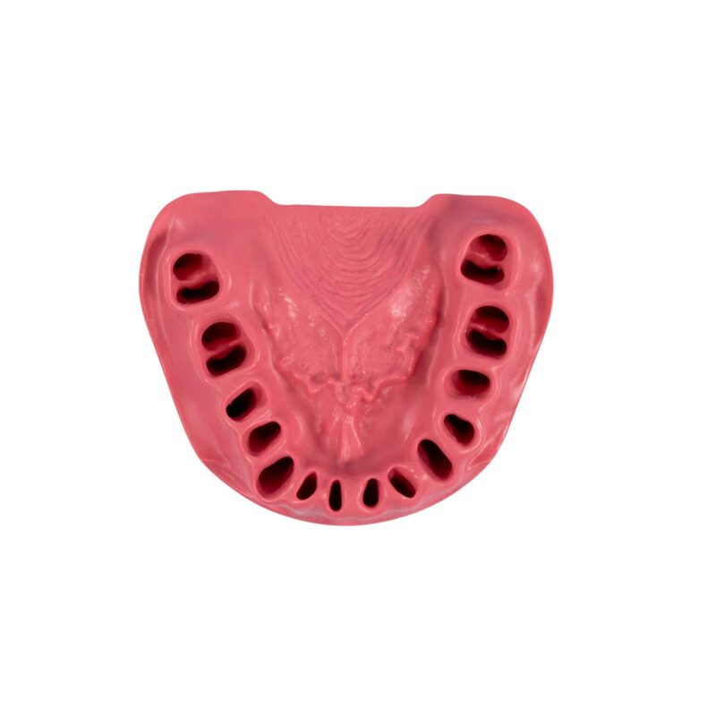 Сменные десны для стоматологической модели PD-M ORT — купить в МЕДСЕТ