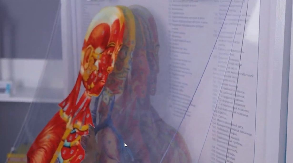 Трехмерный анатомический атлас. Приказ 838 Минпросвещения РФ — купить в МЕДСЕТ