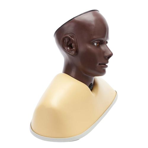 Digital Ear Examination Trainer, dark (Цифровой тренажер для осмотра ушей, темный) — купить в МЕДСЕТ