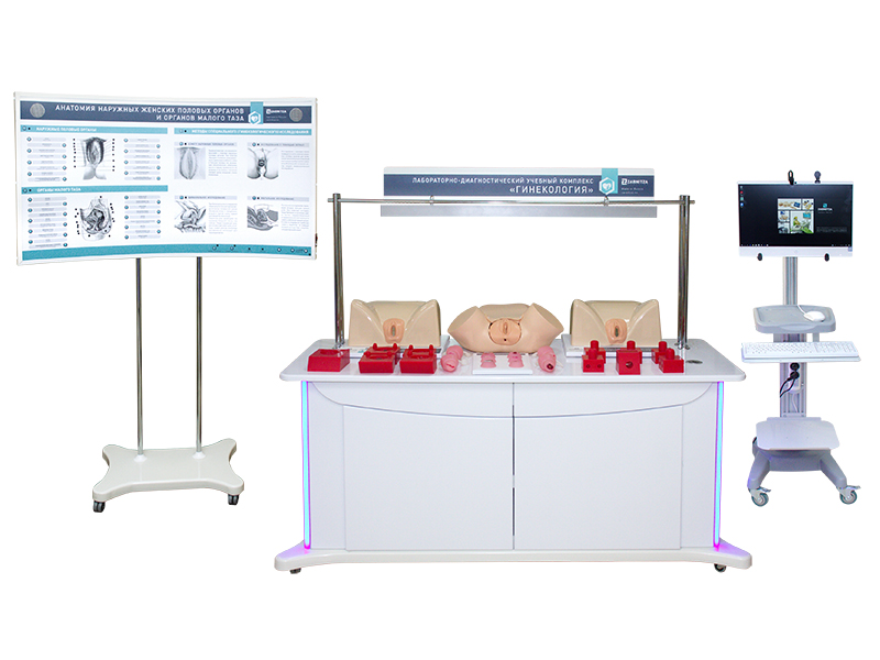 Лабораторно-диагностический учебный комплекс "Гинекология" — купить в МЕДСЕТ