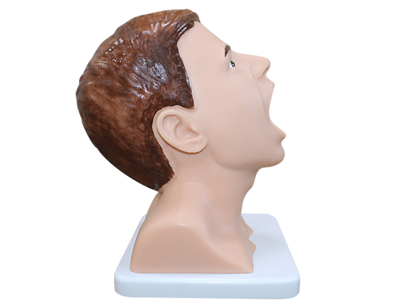 Тренажер взятия мазка из зева — купить в МЕДСЕТ