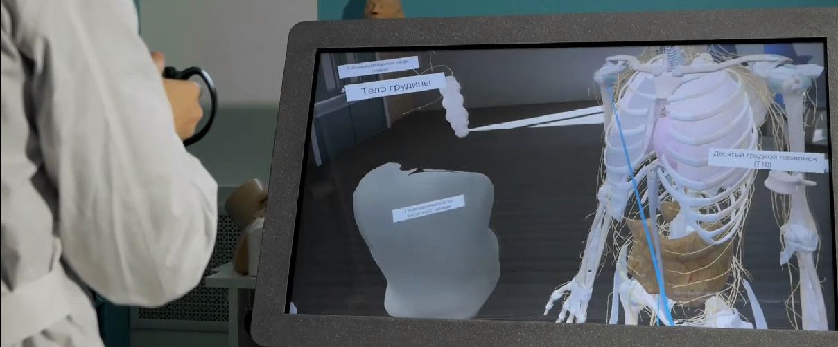 Трехмерный анатомический атлас. Виртуальный учебный комплекс. Приказ 804 Минпросвещения РФ. — купить в МЕДСЕТ