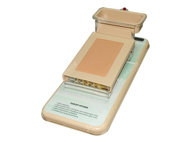 Тренажер для отработки навыков забора крови ТЗК-1.01 — купить в МЕДСЕТ