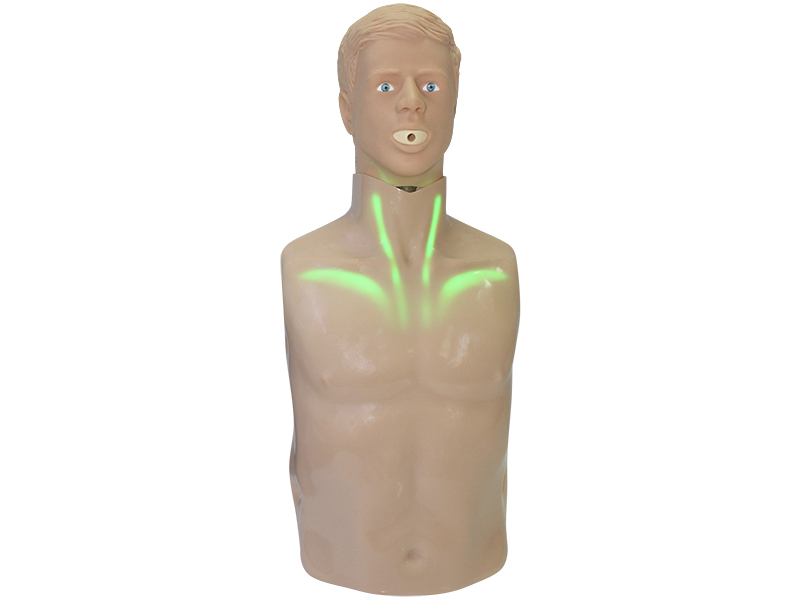 Тренажер-манекен (торс) пострадавшего для отработки приемов сердечно-легочной реанимации со светозвуковой индикацией «Александр-3» — купить в МЕДСЕТ