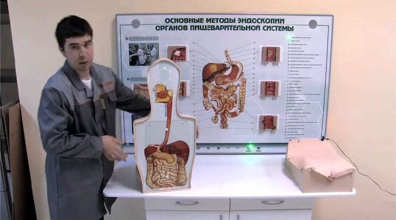 Интерактивный тренажерный комплекс для эндоскопии — купить в МЕДСЕТ