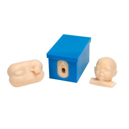 Набор из моделей для наблюдения за состоянием плода и протеканием родов — купить в МЕДСЕТ