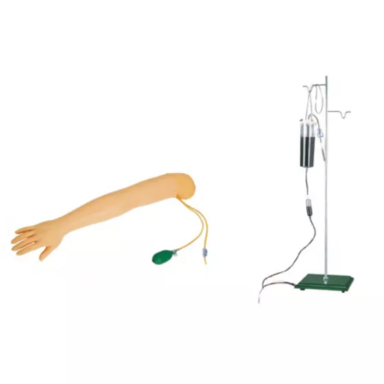 Модель руки для различных инъекций (S3) — купить в МЕДСЕТ