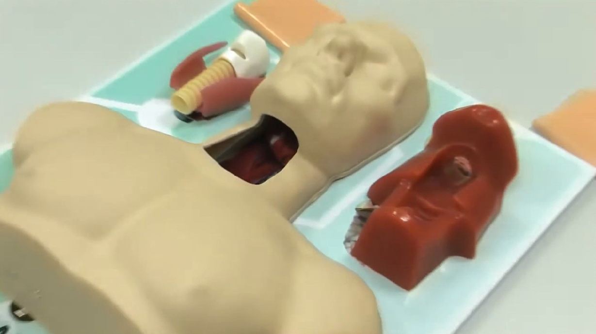 Тренажер трахеотомии — купить в МЕДСЕТ