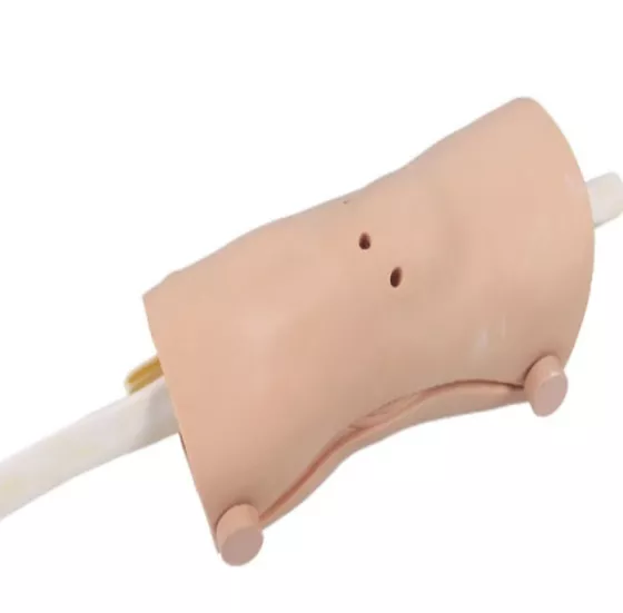 Модель для артроскопии коленного сустава LV65 — купить в МЕДСЕТ