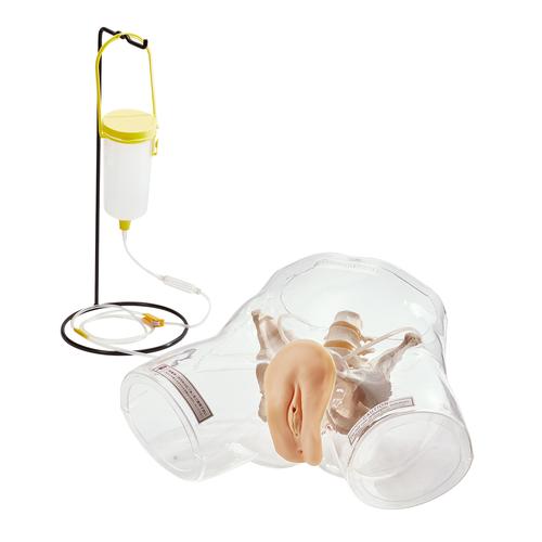 Прозрачная модель для обучения катетеризации, мужская — купить в МЕДСЕТ