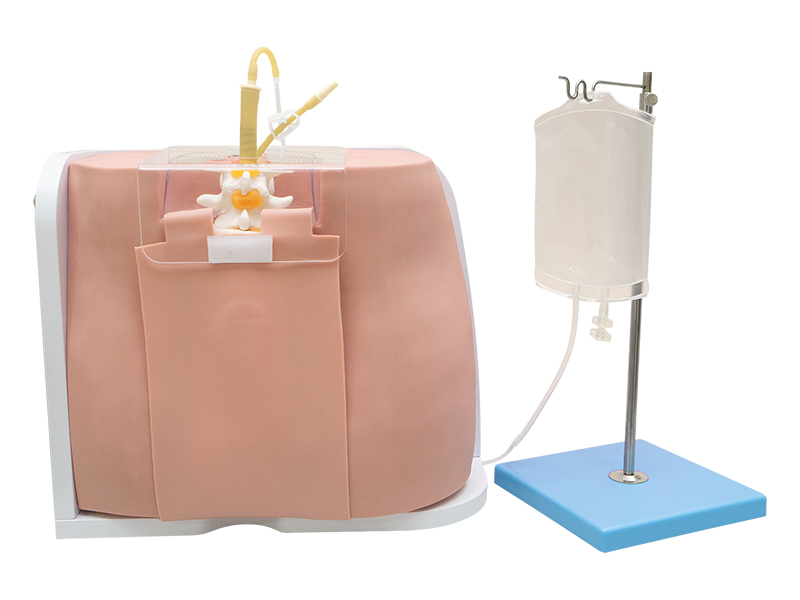 Тренажер люмбальной пункции — купить в МЕДСЕТ