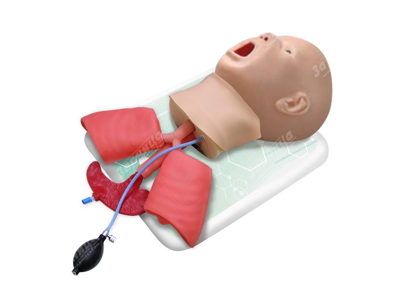 Фантом головы ребенка (возраст до 1 года) для интубации трахеи — купить в МЕДСЕТ