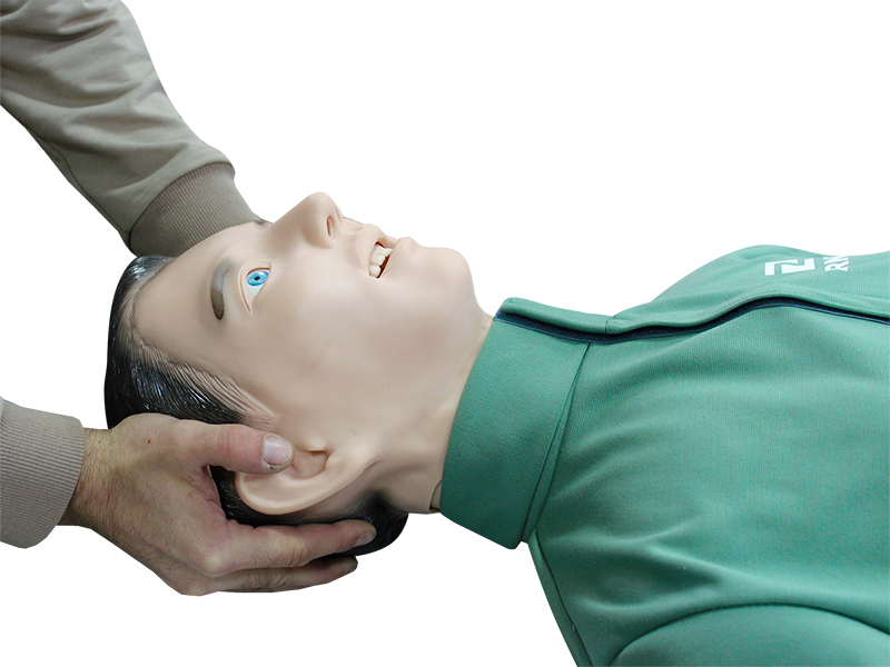 Тренажер-манекен пострадавшего для обучения спасению на воде «Михаил-1» — купить в МЕДСЕТ