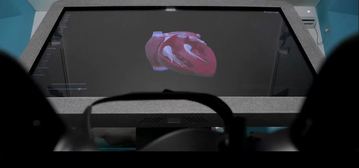 Трехмерный анатомический атлас VR. Виртуальный учебный комплекс. Приказ 838 Минпросвещения РФ — купить в МЕДСЕТ