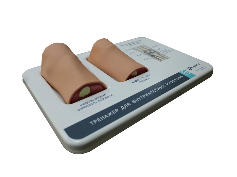 Комбинированный тренажер для внутрикостных инъекций — купить в МЕДСЕТ